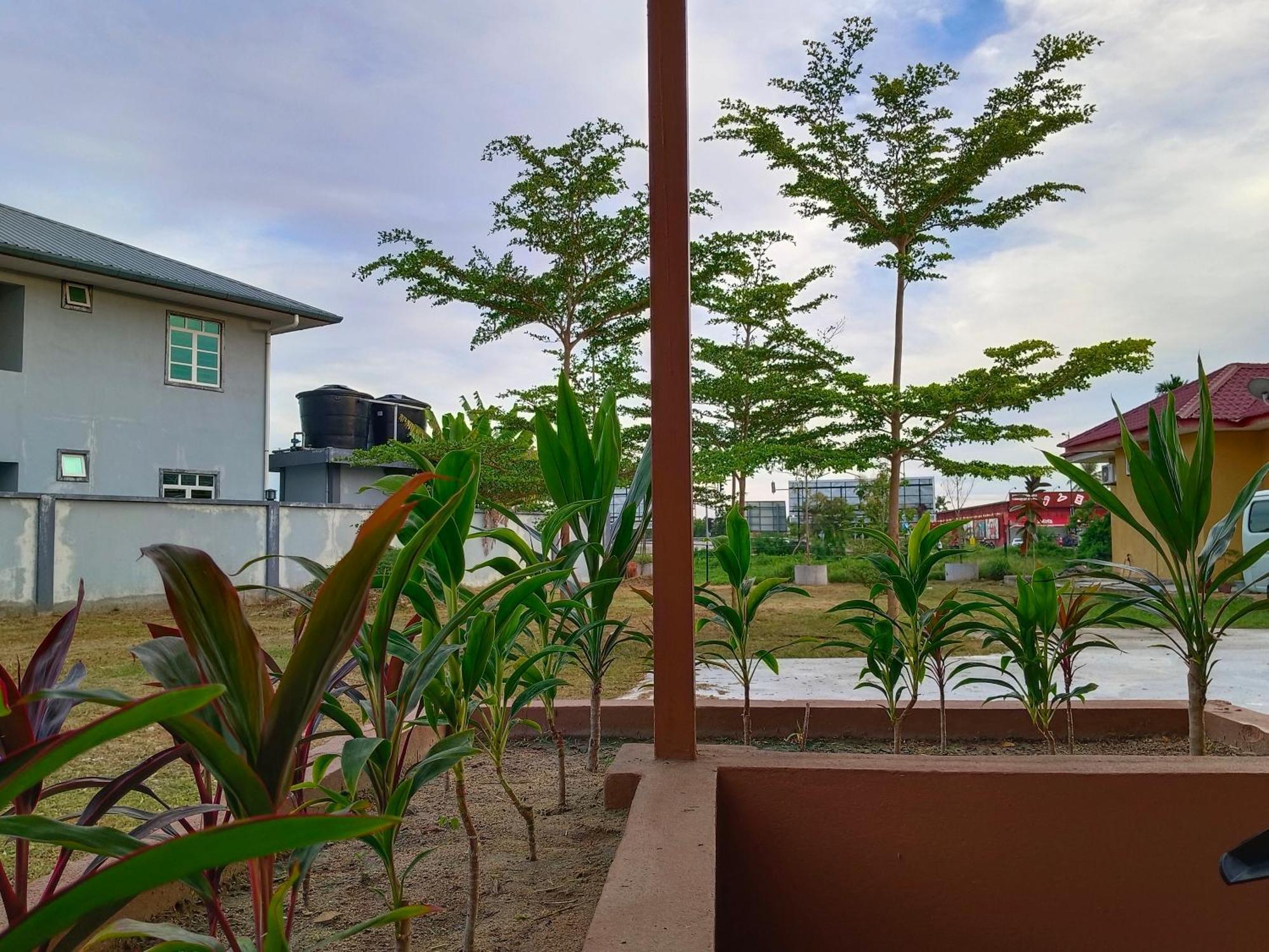 Alfa Roomstay Pantai Cenang  Exteriör bild